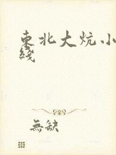 东北大炕小说在线