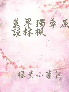 万界独尊原著小说林枫