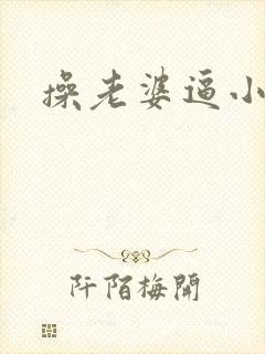 操老婆逼小说