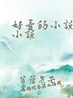 好看的小说推荐小说
