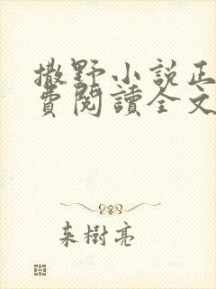 撒野小说正版免费阅读全文无删减