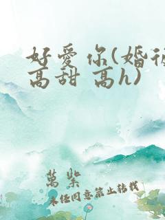 好爱你(婚后 高甜 高h)