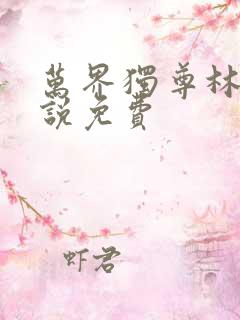万界独尊林枫小说免费
