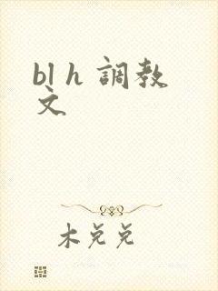 bl h 调教文