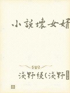 小说坏女婿强子