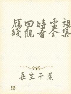 雁回时电视剧在线观看全集免费播放