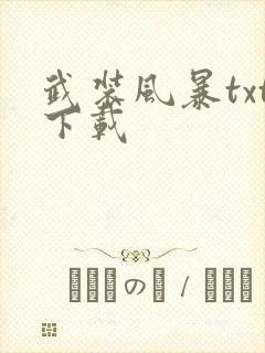 武装风暴txt下载