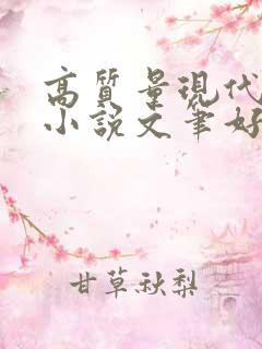 高质量现代言情小说文笔好