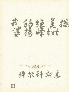 我的绝美总裁老婆杨峰txt