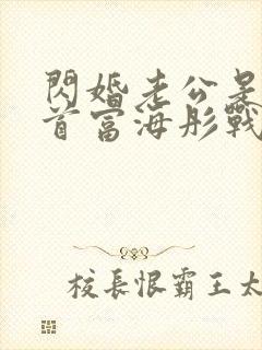 闪婚老公是千亿首富海彤战