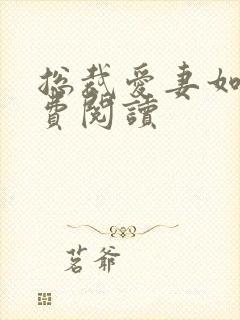 总裁爱妻如命免费阅读