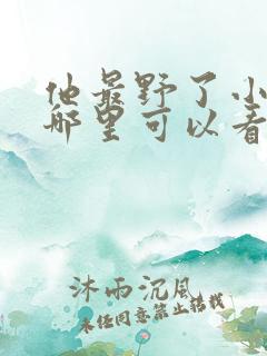 他最野了小说在哪里可以看