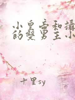 小皇帝和摄政王的双男主小说
