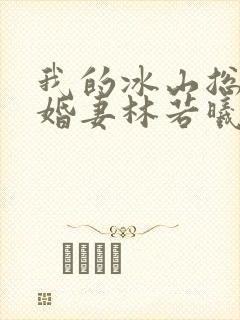我的冰山总裁未婚妻林若曦