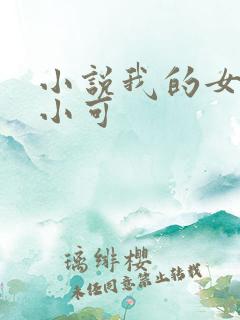 小说我的女儿叫小可