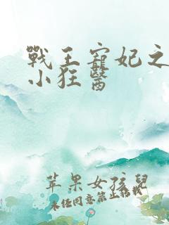 战王宠妃之倾世小狂医
