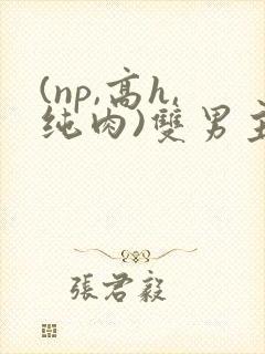 (np,高h,纯肉)双男主