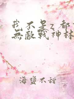 我不是z 都市无敌战神林北