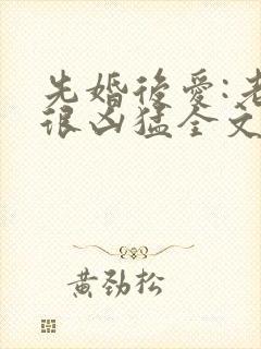 先婚后爱:老公很凶猛全文免费阅读