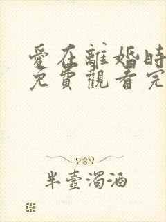 爱在离婚时短剧免费观看完整版