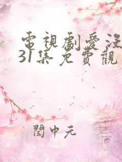 电视剧爱没有错31集免费观看
