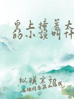 皇上撞着太子妃的小说叫什么