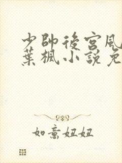 少帅后宫风流传叶枫小说免费阅读
