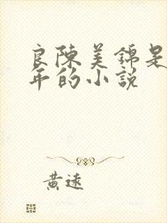 良陈美锦是哪一年的小说