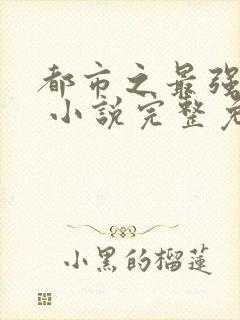 都市之最强狂兵 小说完整免费