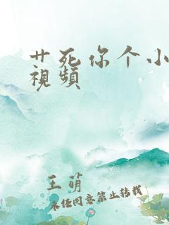 艹死你个小骚货视频