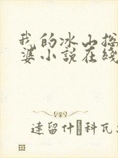 我的冰山总裁老婆小说在线