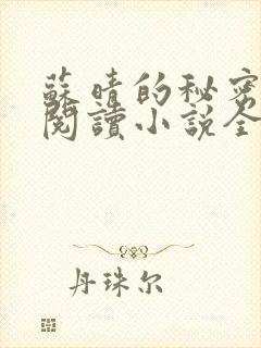 苏晴的秘密免费阅读小说全文