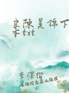 良陈美锦下载全本txt