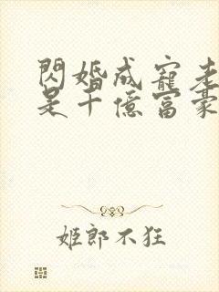闪婚成宠老公竟是千亿富豪