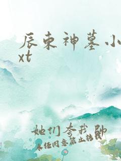 辰东神墓小说txt