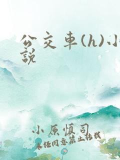 公交车(h)小说