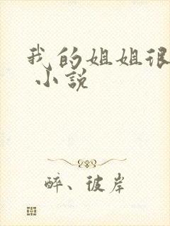 我的姐姐很弟控 小说