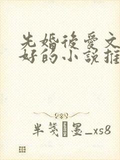 先婚后爱文笔超好的小说推荐