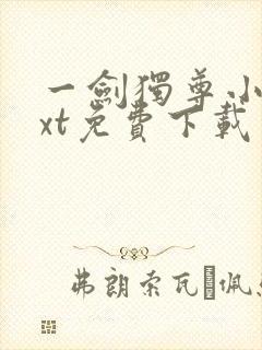 一剑独尊小说txt免费下载
