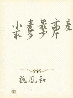 小麦最高产量每亩多少斤