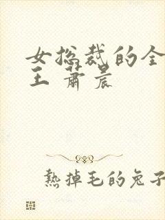 女总裁的全能兵王 萧晨