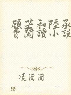 顾芒和陆承洲免费阅读小说下拉式