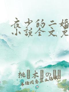 夜少的二婚新妻小说全文免费阅读