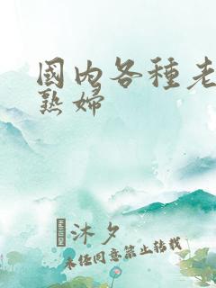 国内各种老熟女熟妇