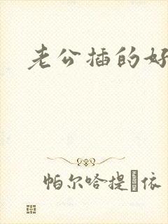 老公插的好爽