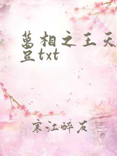 万相之王天蚕土豆txt