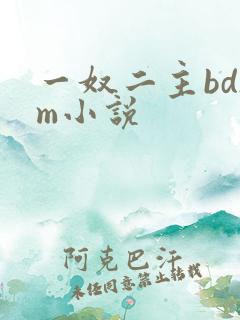 一奴二主bdsm小说