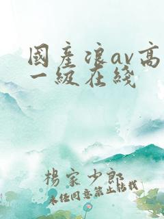 国产浪av高清一级在线