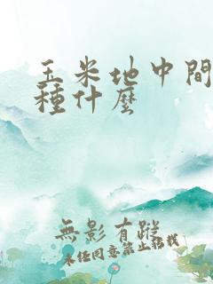 玉米地中间可以种什么