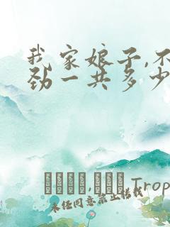 我家娘子,不对劲一共多少章